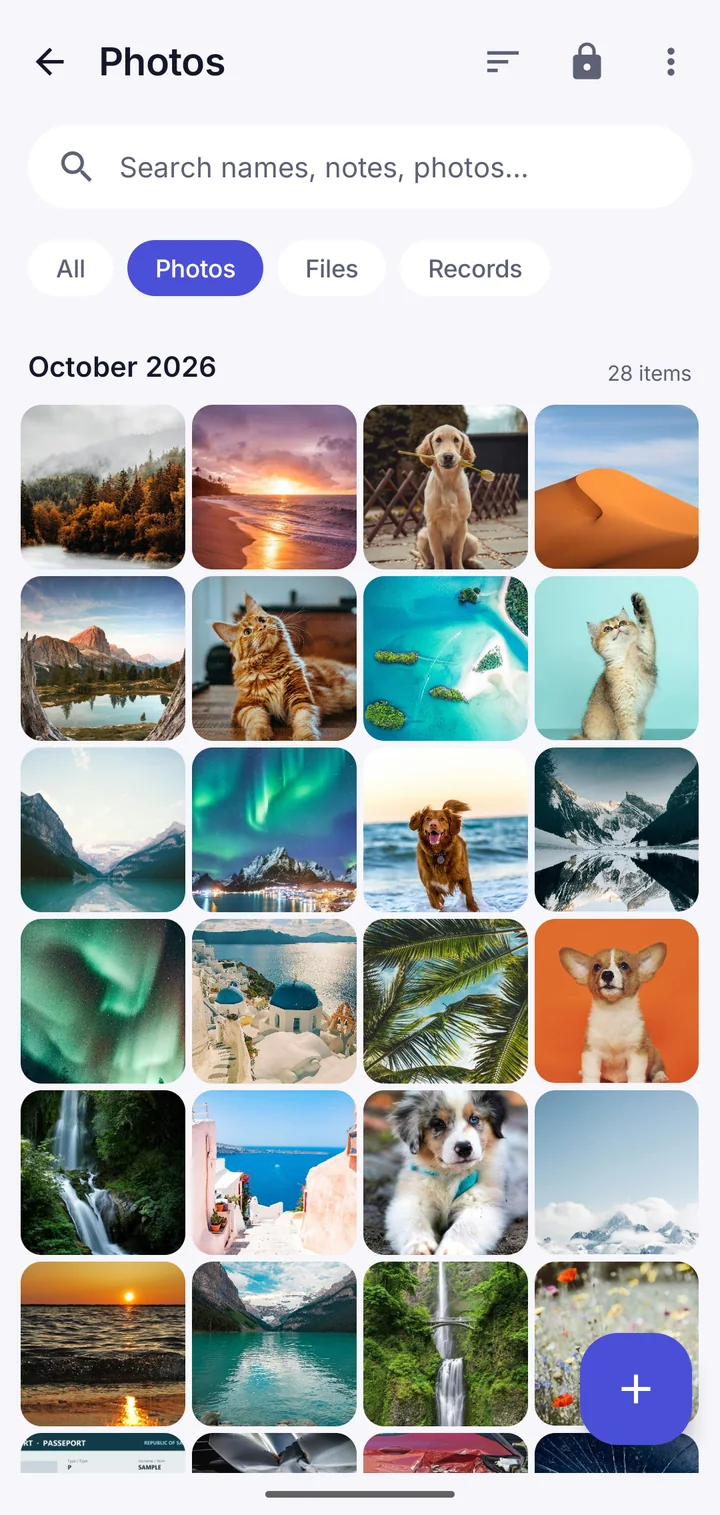 Small tiles showing a whole photo library
